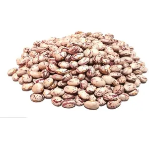 لوبیا چیتی ۱ کیلوگرم