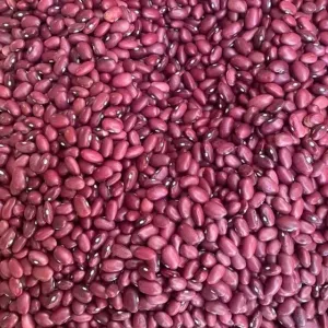 لوبیا قرمز ۱ کیلوگرم