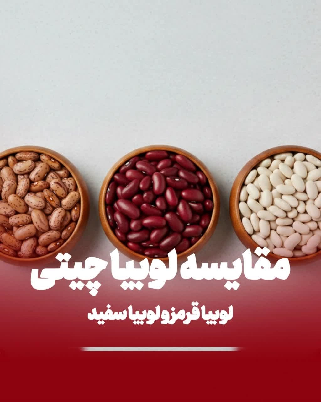 مقایسه لوبیا سفید، لوبیا قرمز و لوبیا چیتی